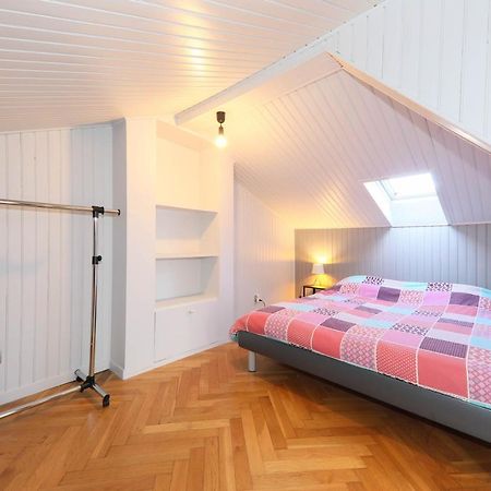 Duplex Atypique Proche Gare & Centre Ville Mülhausen Exterior foto
